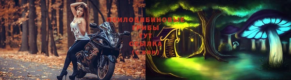 амф Тихвин