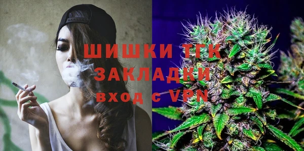 гидра Армянск