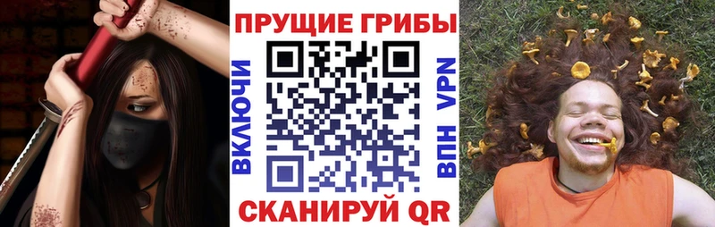 сколько стоит  Ухта  Галлюциногенные грибы Magic Shrooms 